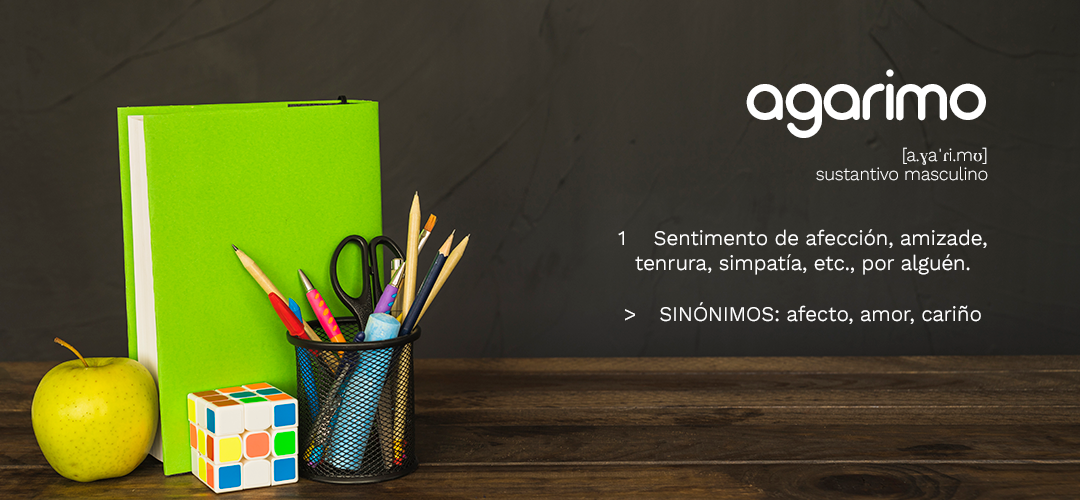 agarimo diseño web profesional definición de agarimo
