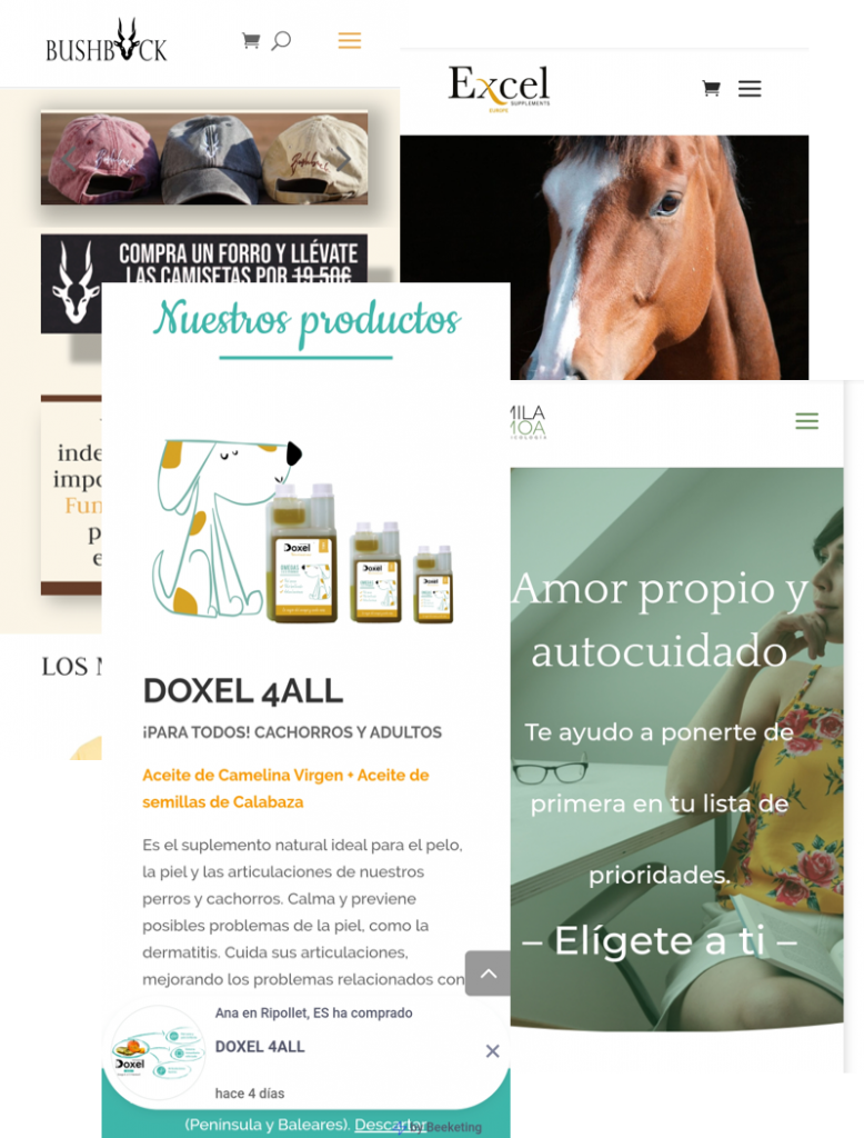 diseño web profesional agarimo